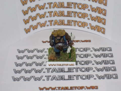 Bulle Umbau (Raiden aus Mortal Kombat)