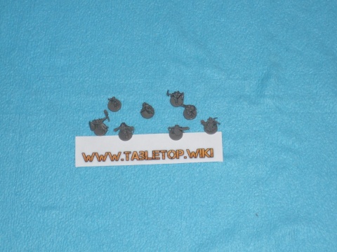 Charakter des Spiels