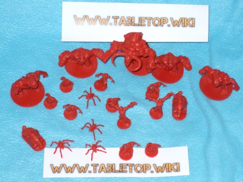 Inhalt Monster einer Farbe genauer