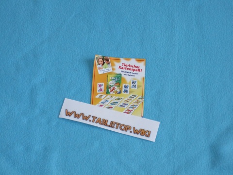 Flyer zu Elfer raus! Junior