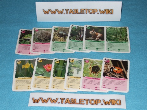 Karten des Spiels
